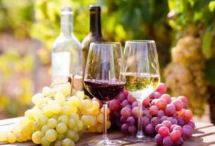 Fiesta provincial de la Vendimia: la celebración de los vinos nacidos al resguardo de las sierras bonaerenses