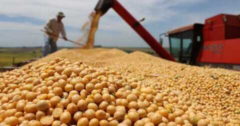 La venta de soja cayó 45% en junio