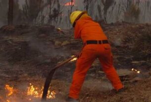 Anunciaron un proyecto para restaurar los daños ocasionados por el fuego en Córdoba