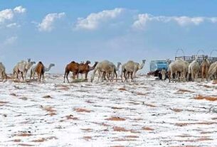 El desierto de Arabia Saudita se cubrió de nieve por primera vez en su historia