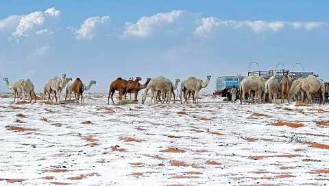 El desierto de Arabia Saudita se cubrió de nieve por primera vez en su historia