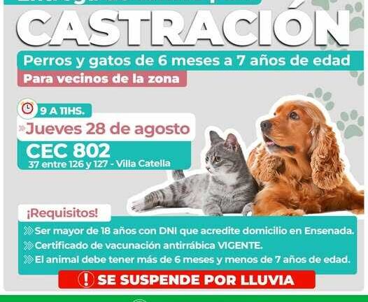 Catella: entrega de turnos para castración
