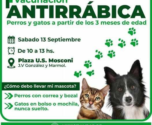 Uevo sábado de vacunación antirrábica en Mosconi