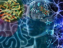 Encuentran un vínculo entre las bacterias de la boca y la enfermedad de Parkinson