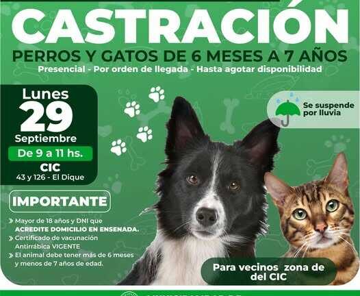 Entrega de turnos para castración
