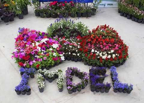 Calendario de eventos turísticos en la provincia de Buenos Aires