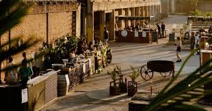 La esencia de la tierra en botellas que cuentan historias 