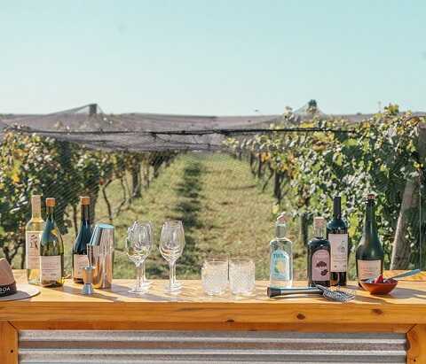 ENOTURISMO: calendario de eventos Vinos Buenos Aires