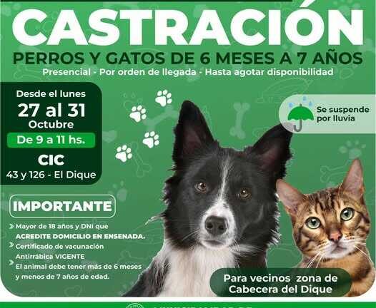 Entrega de turno para castración en el CIC