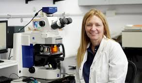 Una científica marplatense premiada por crear plantas que resisten al calor extremo