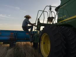 EE.UU. actualizó su reporte agrícola y anticipó cambios en China