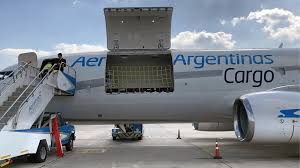 Argentina fue uno de los países que registró mayor incremento de carga aérea en septiembre