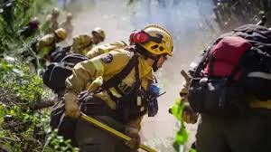 Contienen en un 100% el incendio forestal en Puerto Patriada: lo confirmó el gobernador del Chubut