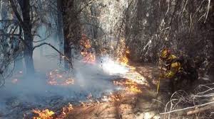 El Gobierno sacaría por decreto la Ley de Emergencia Ígnea que piden los gobernadores de la Patagonia