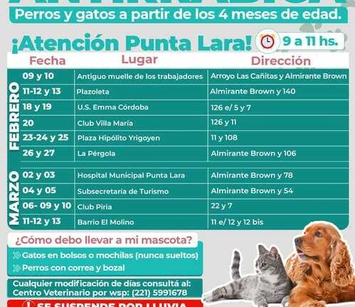 Campaña antirrábica