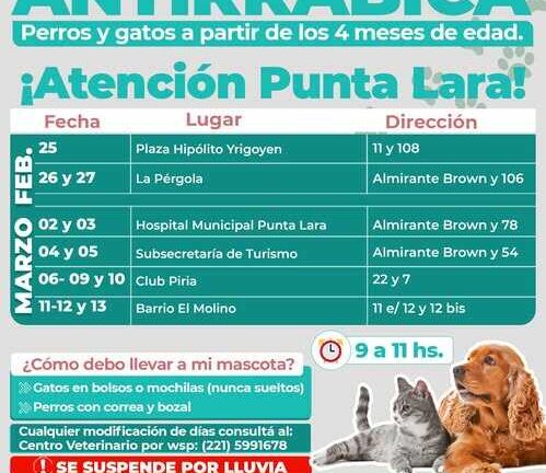 Vacunación antirrábica gratuita para perros y gatos en la localidad de Punta Lara