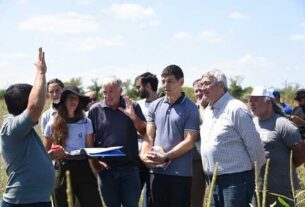 Del sueño de Belgrano al ensayo bonaerense: el regreso del cáñamo productivo