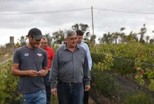 Javier Rodríguez advirtió: “En la Fiesta de la Vendimia Nacional no hay nada que festejar”