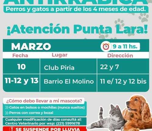 Vacunación antirrábica en Punta Lara