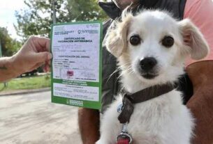 Campaña de vacunación antirrábica