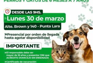 Entrega de turnos para castración