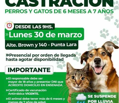 Entrega de turnos para castración