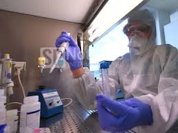 «Cicada», la nueva variante de COVID que está bajo la lupa de la OMS