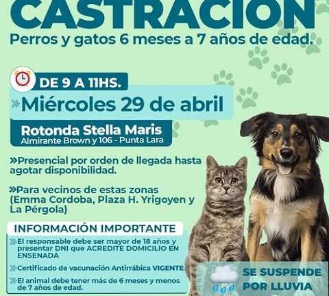 Entrega de turnos para castración