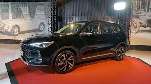 Tensión por el precio de los autos chinos