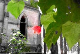Relatos intrigantes que despiertan fascinación en destinos turísticos bonaerenses