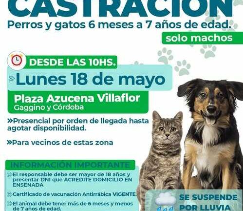 Castración: entrega de turnos