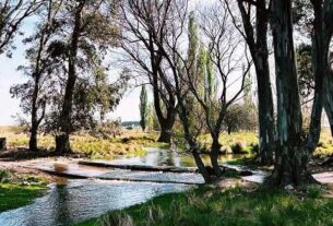 Otoño de cosecha: experiencias entre olivares, sierras y sabores bonaerenses