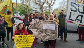 Docentes de La Plata marcharon por las ratas en las escuelas