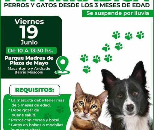 Vacunación y entrega de turnos para castraciones