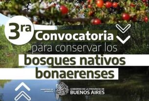 El Ministerio de Ambiente lanzó la convocatoria 2026 para productores con predios con bosque nativo