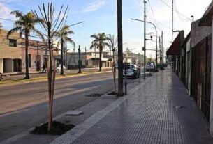 Más árboles: fresnos rojos