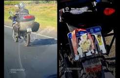Viveza detectada: la ansv sancionó a un motociclista que ocultaba la patente con cinta roja y adhesivos