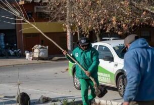 Temporada de forestación