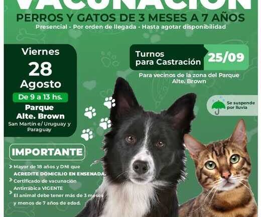 Jornada de vacunación