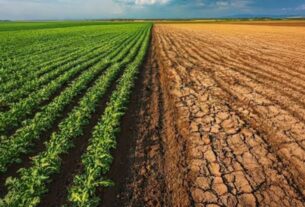 El riesgo climático obliga al agro a repensar su estrategia de negocio